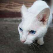 ヒメ日記 2026/03/24 17:30 投稿 辻レイナ クラブ華