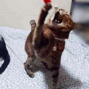 ヒメ日記 2026/03/25 17:30 投稿 辻レイナ クラブ華