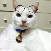 ヒメ日記 2026/03/27 17:30 投稿 辻レイナ クラブ華