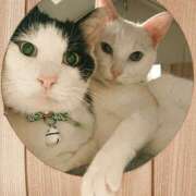 ヒメ日記 2026/03/28 17:30 投稿 辻レイナ クラブ華