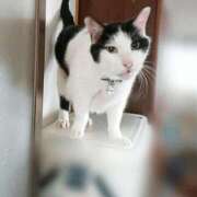 ヒメ日記 2026/03/30 17:30 投稿 辻レイナ クラブ華