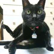 ヒメ日記 2026/04/10 17:30 投稿 辻レイナ クラブ華