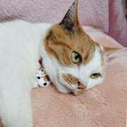 ヒメ日記 2026/04/13 17:30 投稿 辻レイナ クラブ華