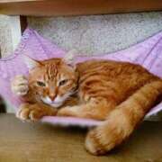 ヒメ日記 2026/04/14 17:30 投稿 辻レイナ クラブ華