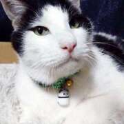 ヒメ日記 2026/04/15 17:30 投稿 辻レイナ クラブ華