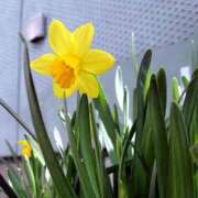 ヒメ日記 2026/04/18 18:00 投稿 辻レイナ クラブ華