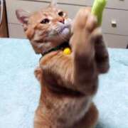 ヒメ日記 2026/04/19 17:30 投稿 辻レイナ クラブ華