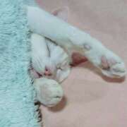 ヒメ日記 2026/04/20 17:30 投稿 辻レイナ クラブ華