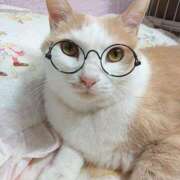 ヒメ日記 2026/04/21 17:30 投稿 辻レイナ クラブ華