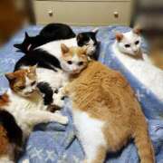 ヒメ日記 2026/04/23 17:30 投稿 辻レイナ クラブ華