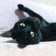ヒメ日記 2026/07/11 17:30 投稿 辻レイナ クラブ華