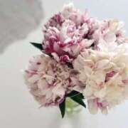 ヒメ日記 2024/12/20 16:34 投稿 橘 ルーブル