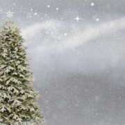 ヒメ日記 2024/12/24 12:24 投稿 橘 ルーブル