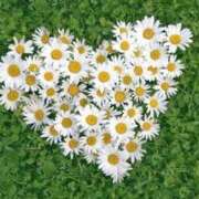 ヒメ日記 2025/02/16 16:54 投稿 橘 ルーブル