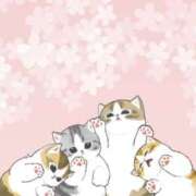 ヒメ日記 2025/04/03 12:11 投稿 美鈴 Pink Rose（ピンクローズ）