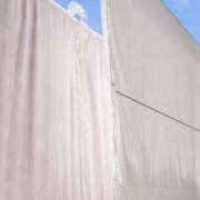 ヒメ日記 2025/05/05 11:48 投稿 美鈴 Pink Rose（ピンクローズ）