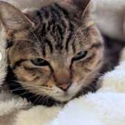 ヒメ日記 2025/05/27 12:39 投稿 美鈴 Pink Rose（ピンクローズ）