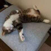 ヒメ日記 2025/07/01 11:48 投稿 美鈴 Pink Rose（ピンクローズ）