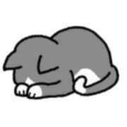 ヒメ日記 2025/07/07 11:56 投稿 美鈴 Pink Rose（ピンクローズ）