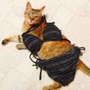 ヒメ日記 2025/08/30 11:57 投稿 美鈴 Pink Rose（ピンクローズ）