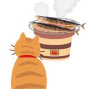 ヒメ日記 2025/09/09 11:57 投稿 美鈴 Pink Rose（ピンクローズ）