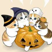 ヒメ日記 2025/11/01 12:03 投稿 美鈴 Pink Rose（ピンクローズ）