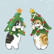 美鈴 こんにちは(^-^) Pink Rose（ピンクローズ）