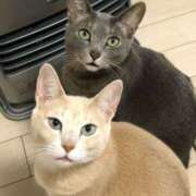 美鈴 こんにちは(^-^) Pink Rose（ピンクローズ）