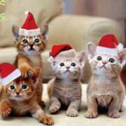 美鈴 こんにちは(^-^) Pink Rose（ピンクローズ）