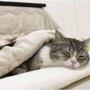 ヒメ日記 2026/01/21 12:46 投稿 美鈴 Pink Rose（ピンクローズ）