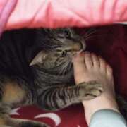 美鈴 こんにちは(^-^) Pink Rose（ピンクローズ）