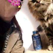 ヒメ日記 2024/12/27 21:59 投稿 うの ギン妻パラダイス 堺東店