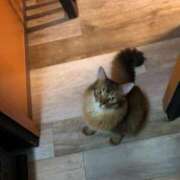 ヒメ日記 2025/01/01 11:33 投稿 うの ギン妻パラダイス 堺東店