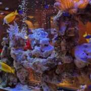 ヒメ日記 2025/01/14 11:57 投稿 うの ギン妻パラダイス 堺東店