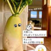 ヒメ日記 2025/01/28 21:06 投稿 うの ギン妻パラダイス 堺東店