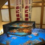 ヒメ日記 2025/02/17 22:41 投稿 うの ギン妻パラダイス 堺東店