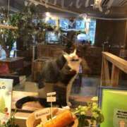 ヒメ日記 2025/02/22 20:42 投稿 うの ギン妻パラダイス 堺東店