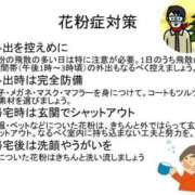 ヒメ日記 2025/04/17 19:58 投稿 うの ギン妻パラダイス 堺東店