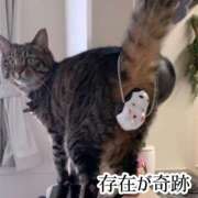 ヒメ日記 2025/09/29 18:28 投稿 うの ギン妻パラダイス 堺東店