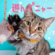 ヒメ日記 2025/10/02 00:34 投稿 うの ギン妻パラダイス 堺東店