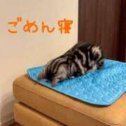 ヒメ日記 2025/11/06 03:47 投稿 うの ギン妻パラダイス 堺東店