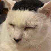 ヒメ日記 2025/11/18 02:47 投稿 うの ギン妻パラダイス 堺東店