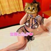 ヒメ日記 2025/11/20 14:40 投稿 うの ギン妻パラダイス 堺東店