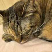 ヒメ日記 2025/11/20 18:05 投稿 うの ギン妻パラダイス 堺東店