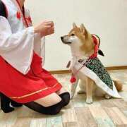 ヒメ日記 2026/01/09 17:17 投稿 うの ギン妻パラダイス 堺東店