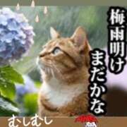 ヒメ日記 2026/07/07 09:45 投稿 うの ギン妻パラダイス 堺東店
