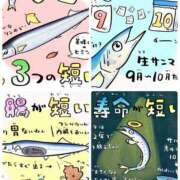 ヒメ日記 2026/10/17 02:48 投稿 うの ギン妻パラダイス 堺東店