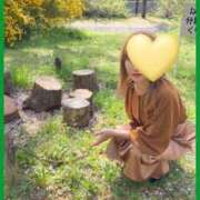 紺野あゆみ お色気にいます お色気物語（横浜ハレ系）