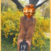 ヒメ日記 2026/02/19 20:30 投稿 紺野あゆみ お色気物語（横浜ハレ系）