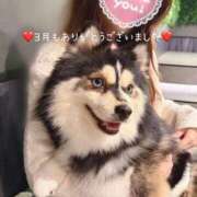 ヒメ日記 2026/04/03 16:31 投稿 せいら ルージュ